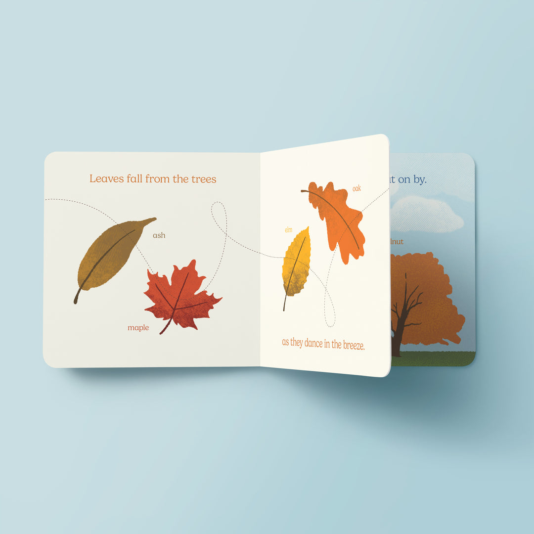 Nature is Neat / Board Book – Forest Crossing Friends