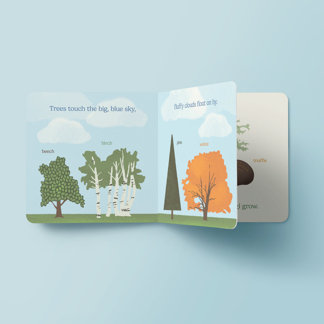 Nature is Neat / Board Book – Forest Crossing Friends