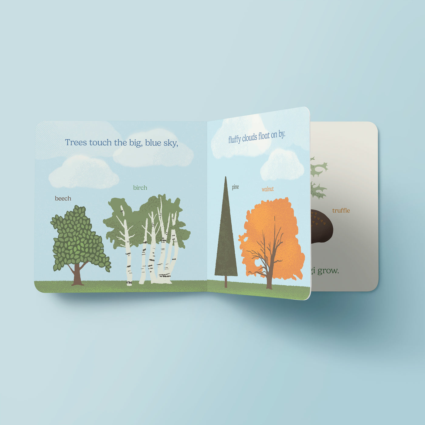 Nature is Neat / Board Book 004