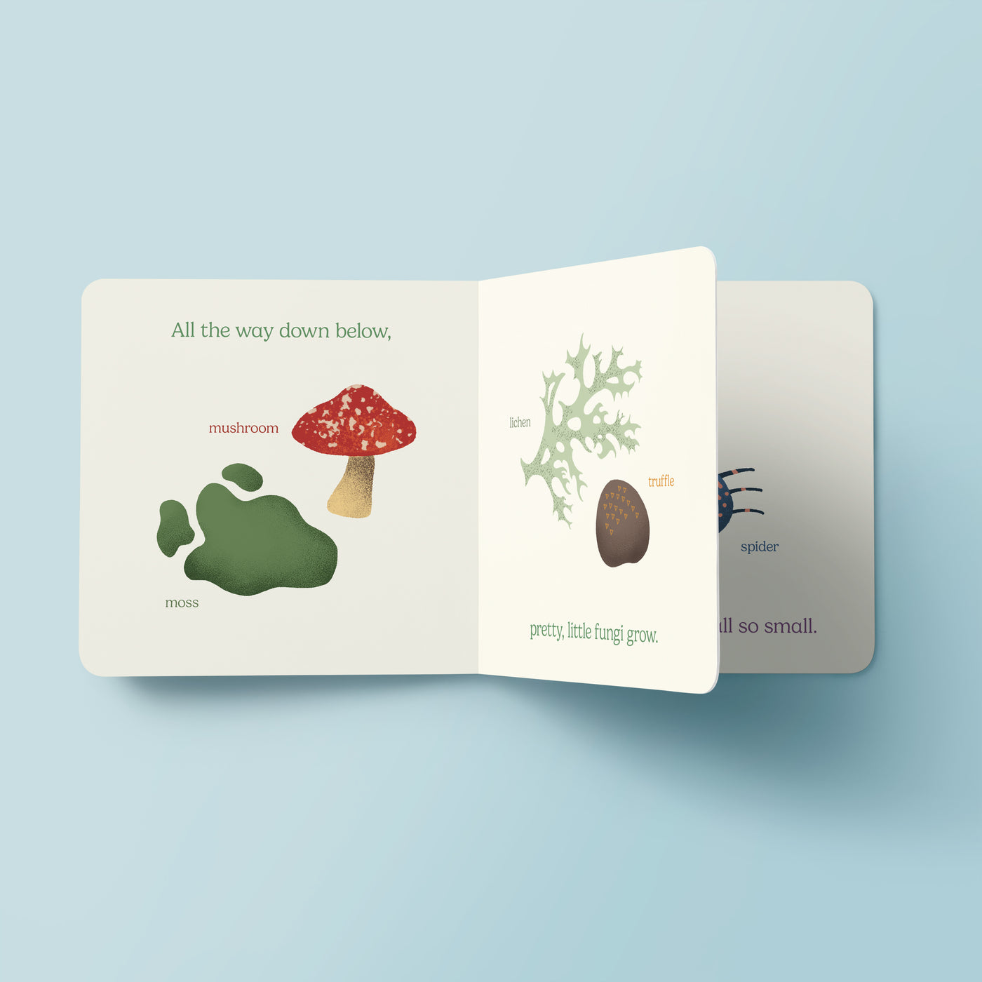 Nature is Neat / Board Book 004